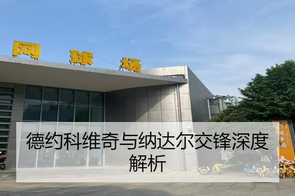 德约科维奇与纳达尔交锋深度解析